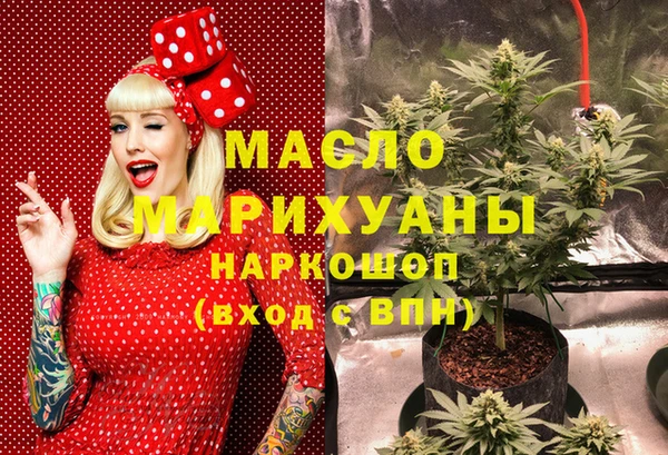 дмт Богородск