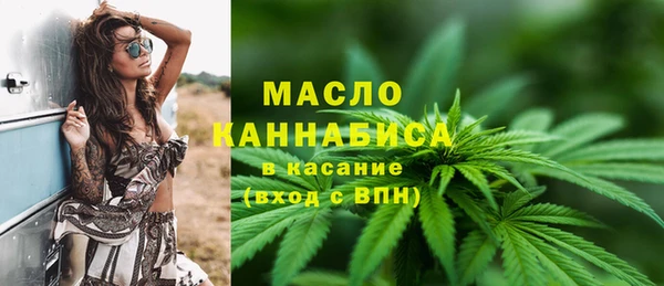 дмт Богородск