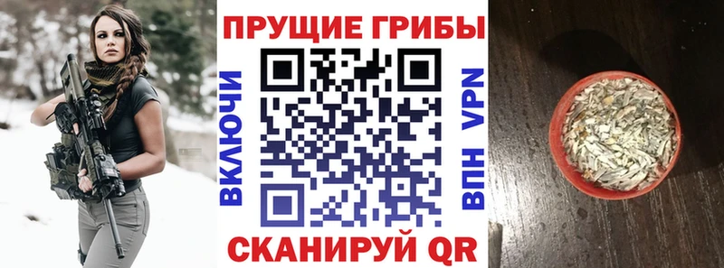 Псилоцибиновые грибы ЛСД  Мирный 